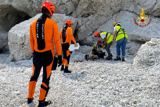 Ancona - Capra ferita tra gli scogli, soccorsa dai vigili del fuoco